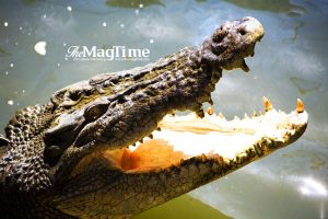 BreakingNews-theMagTime